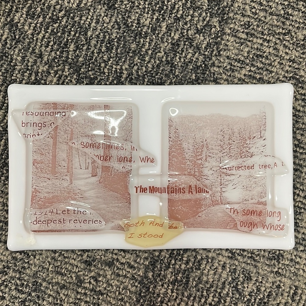 Glass Wall art or tray- local artist made